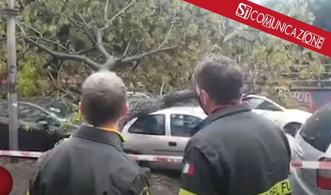 La morsa del maltempo continua ad attanagliare #Napoli e la Regione Campania. Numerosi i danni segnalati in varie