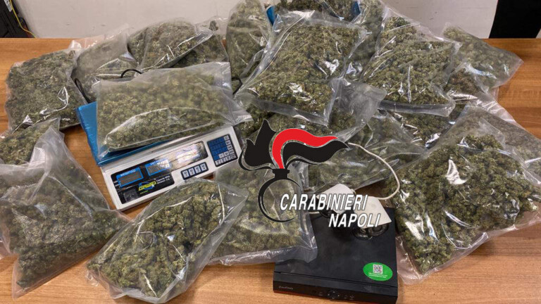 I carabinieri della compagnia di Torre Annunziata hanno setacciato le strade della città grazie anche al “fiuto” delle unità cinofile di Sarno