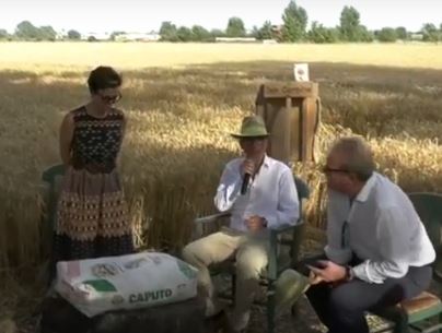 Pensata e organizzata per la prima volta sette anni fa dal Mulino Caputo il Capodanno del Mugnaio è una vera e propria festa dell’agricoltura