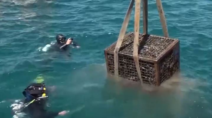 Dopo un anno e sette giorni di permanenza nei fondali marini al largo di Mondragone sono state riportate in superficie le 370