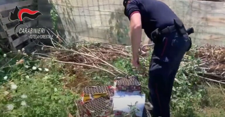 Ore e ore di lavoro ininterrotte per spegnere l'incendio di 50 ettari di vegetazione nel Parco protetto degli Astroni