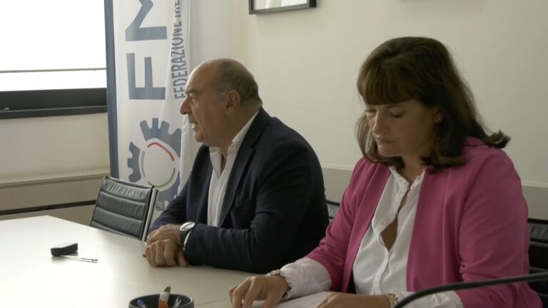 fratelli d'italia reddito di cittadinanza