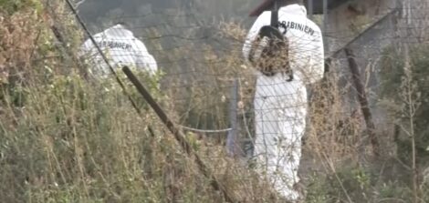 ha chiesto scusa il camionista che ha sparato a tullio e giuseppe