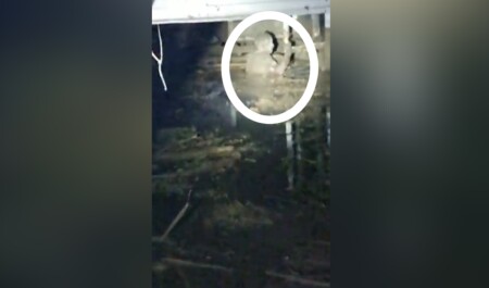 Ischia Casamicciola salvato uomo