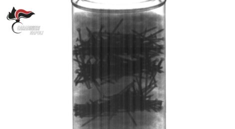 bomba inesplosa a cardito