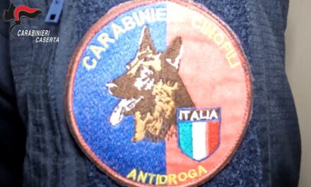 droga tra casertano e napoletano, gli arresti