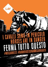 la protesta di lav al grido di #nocarrozze