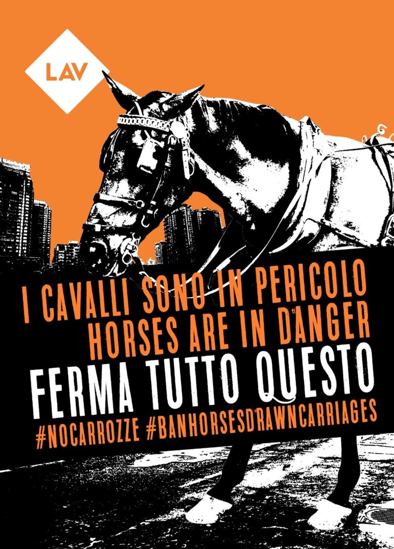 la protesta di lav al grido di #nocarrozze