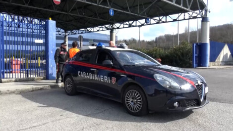 MORTE BIANCA STELLANTIS