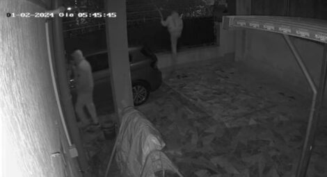 ladri pomigliano video borrelli