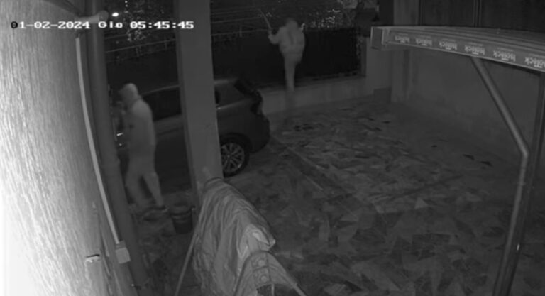ladri pomigliano video borrelli