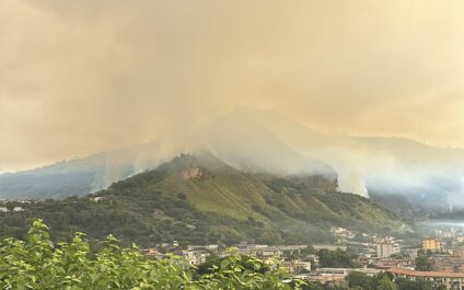 incendio fiamme camaldoli pianura vigili del fuoco