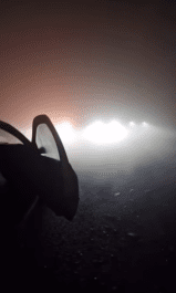 nebbia-capodanno-incidenti