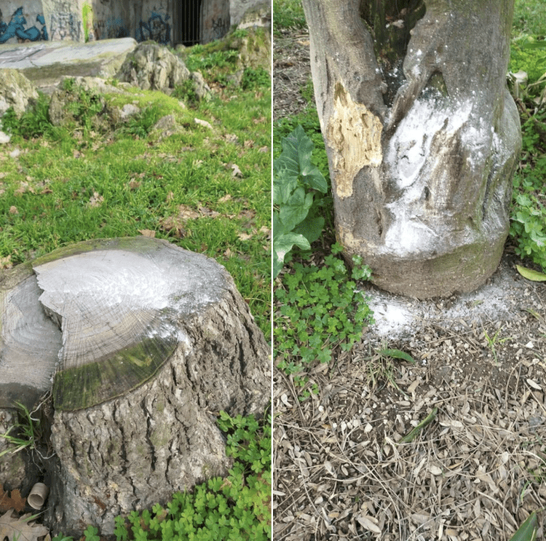 sostanza-sospetta-pozzuoli-villa-avellino