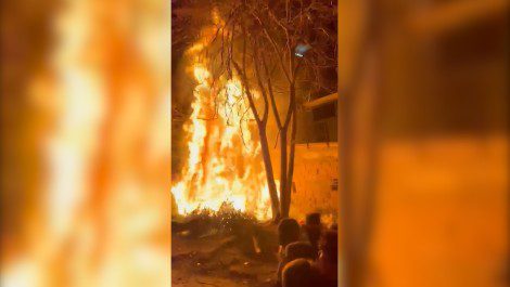 fuochi falò cippo sant'antonio agente polizia municipale ferita sassaiola