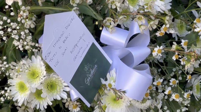 bimba morta acerra pitbull funerali