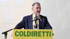edmondo cirielli elezioni regionali fratelli d'italia
