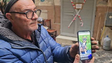 Incendio Quartieri Spagnoli cane