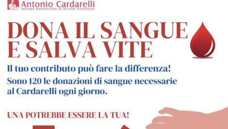 Sangue Cardarelli Carenza Napoli