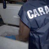 macellazione negozi sporchi salerno