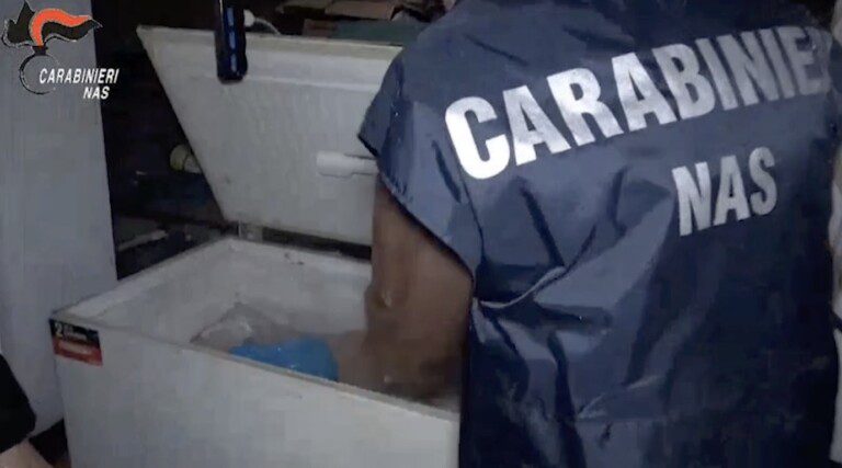 macellazione negozi sporchi salerno