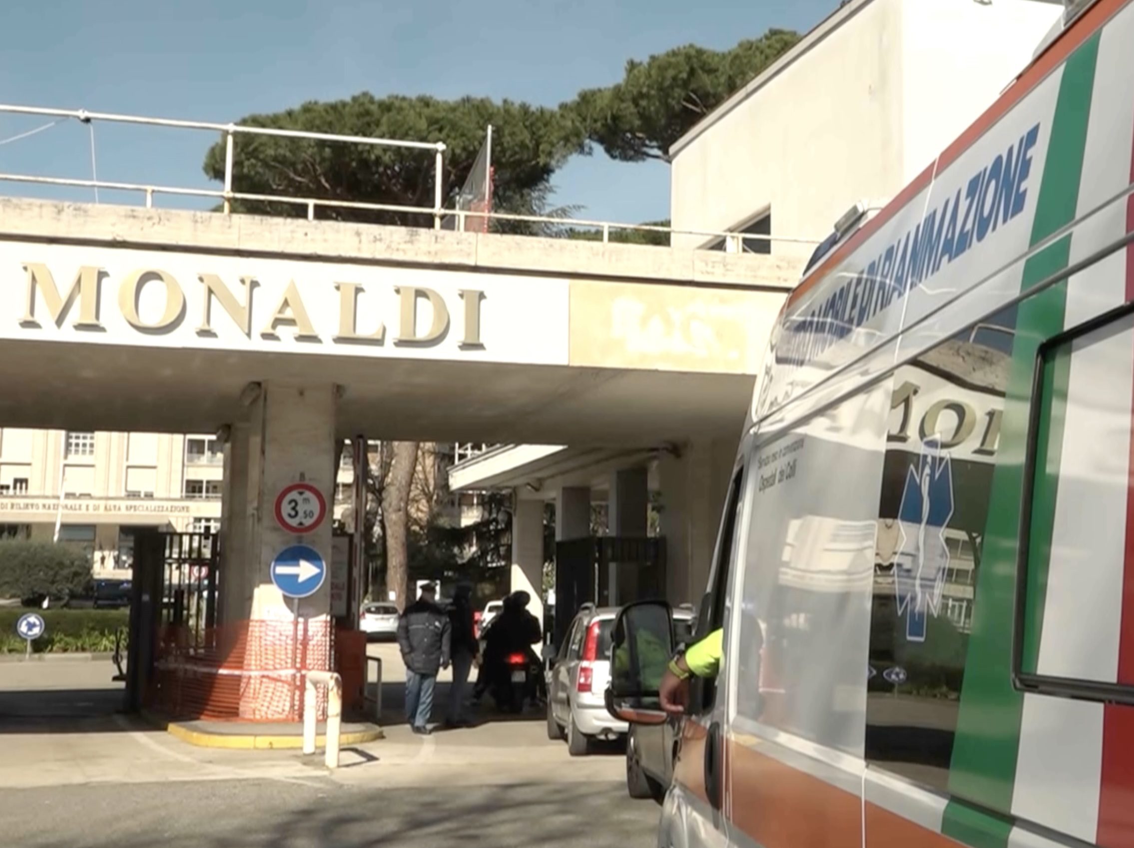 Domenico nuova terapia Ecmo