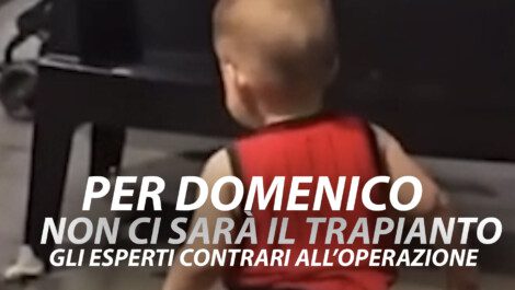 No trapianto esperti contrari