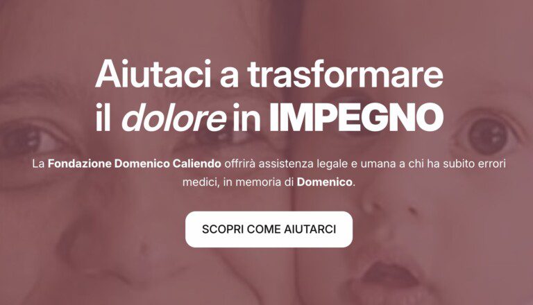 Mese Domenico raccolti fondazione