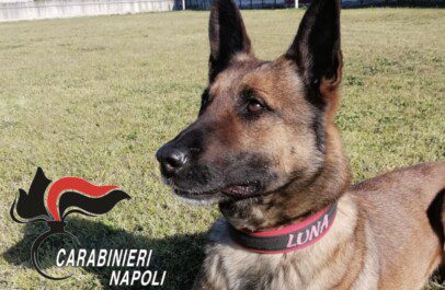 Movida Napoli droga under18