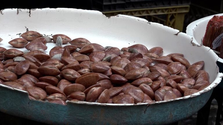 frutti di mare epatite a napoli contagio mercato pignasecca