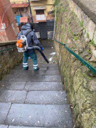 scala montesanto pulizia