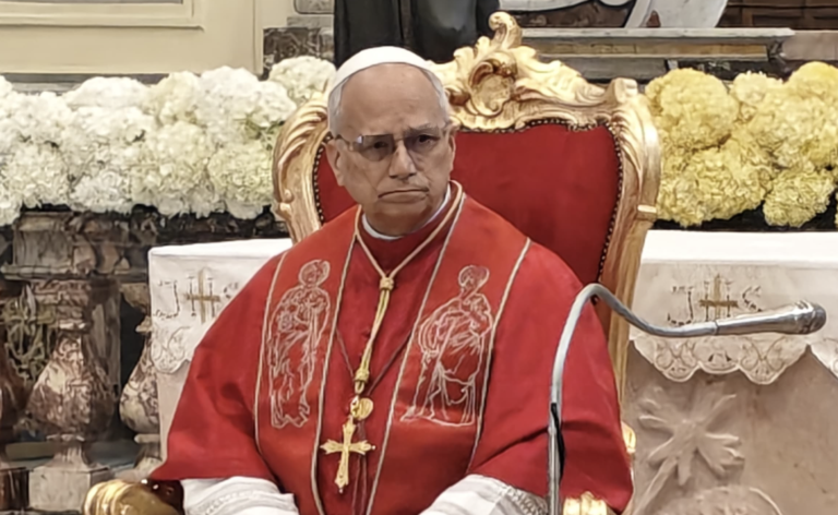 Papa Acerra terra fuochi