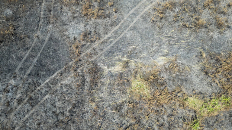 INCENDIO LICOLA