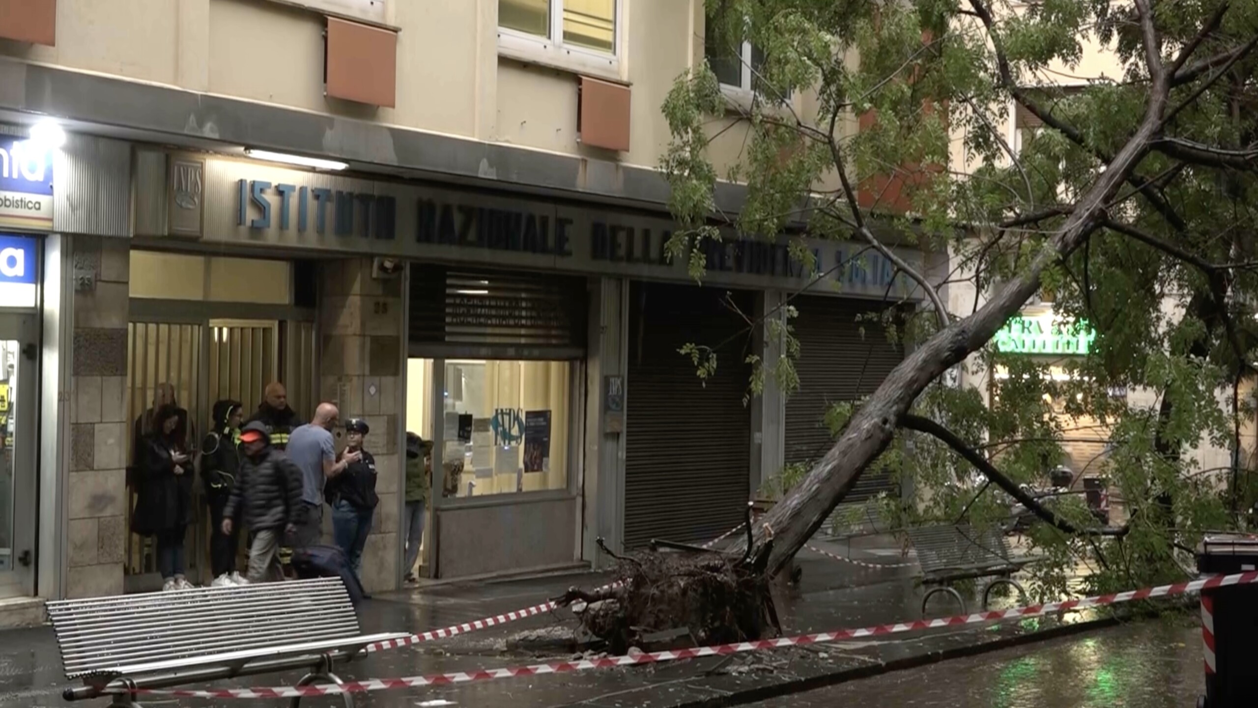Maltempo Napoli provincia alberi